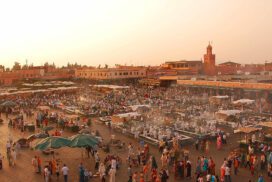 Viaggi Organizzati in Marocco, al servizio di chi vuole scoprire le 1000 e più bellezze in tutto il Regno del Marocco, anche le meno