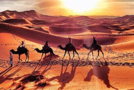 Mitico Deserto del Sahara, il più grande deserto del mondo, di oltre 9 milioni di chilometri quadrati. Il Deserto del Sahara, nella sua...